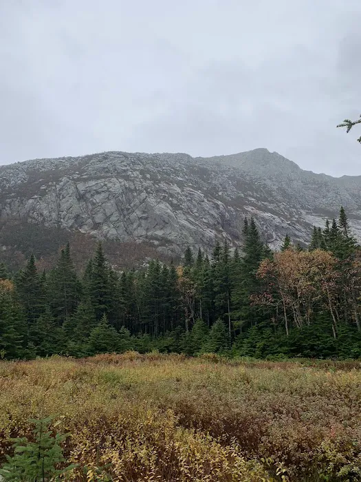 Chimney Pond Campground 6