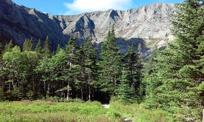 Chimney Pond Campground 1