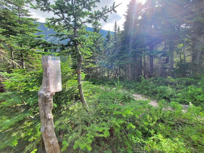 Chimney Pond Campground 4