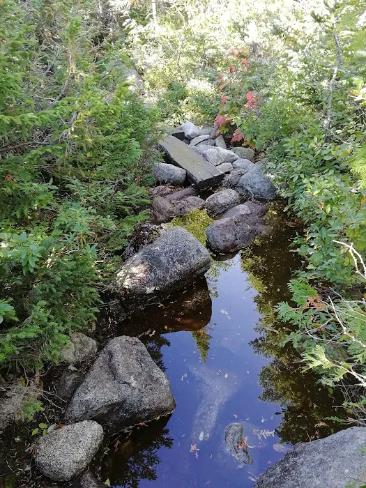 Chimney Pond Campground 8