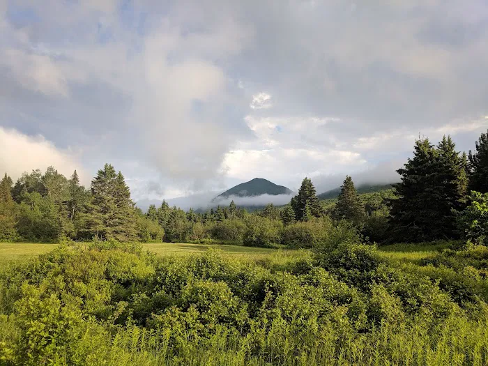 Nesowadnehunk Field Campground 4