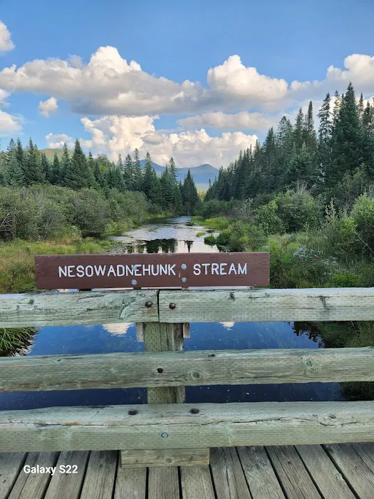 Nesowadnehunk Field Campground 3