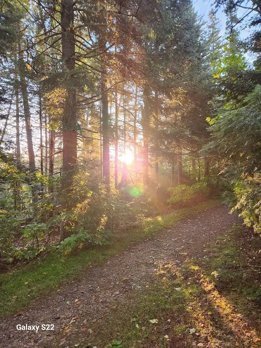 Nesowadnehunk Field Campground 8