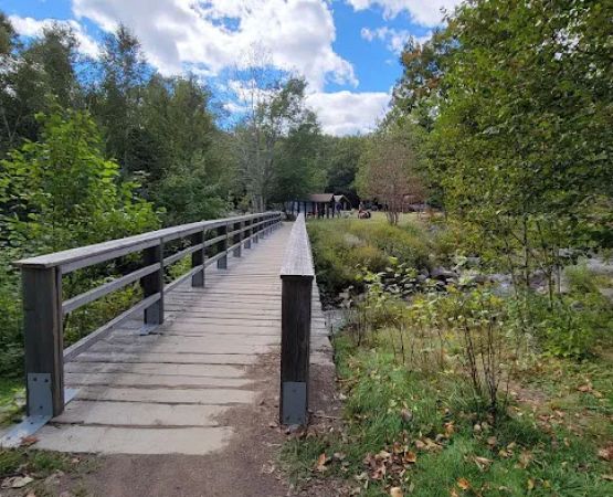 Katahdin Stream Campground