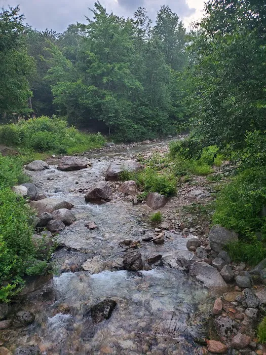 Katahdin Stream Campground 8