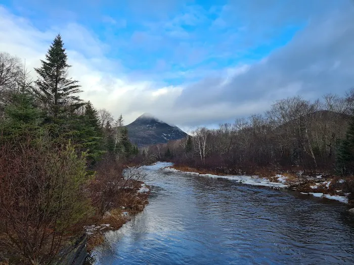 Kidney Pond Campground 9