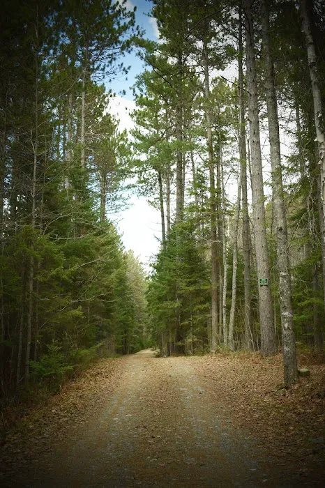 Indian Pond Campground 3