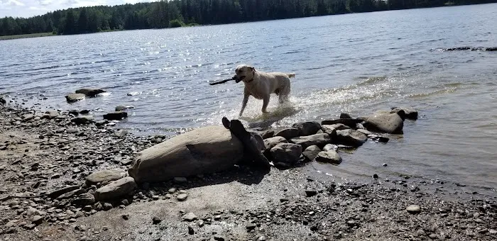 Indian Pond Campground 0