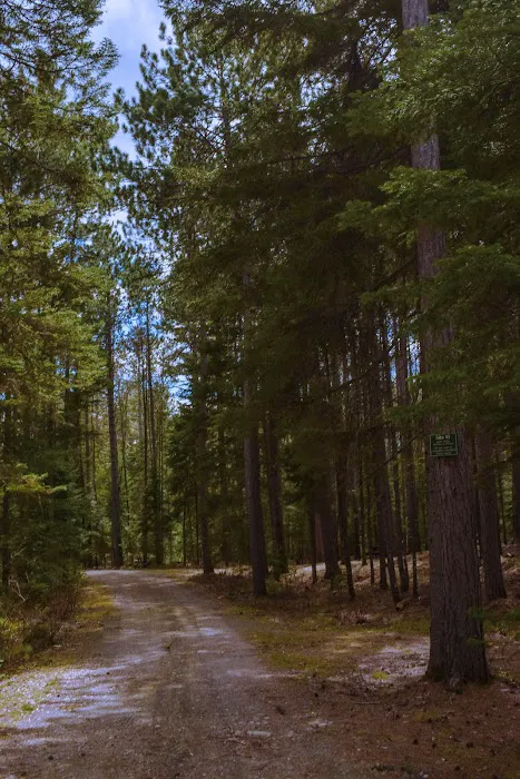 Indian Pond Campground 8
