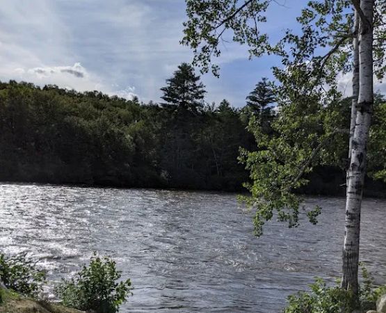 Riverdriver's Campground & Lodging