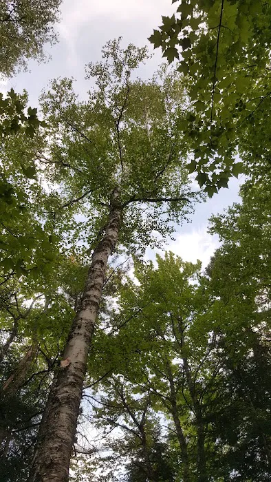 Daicey Pond Campground 6