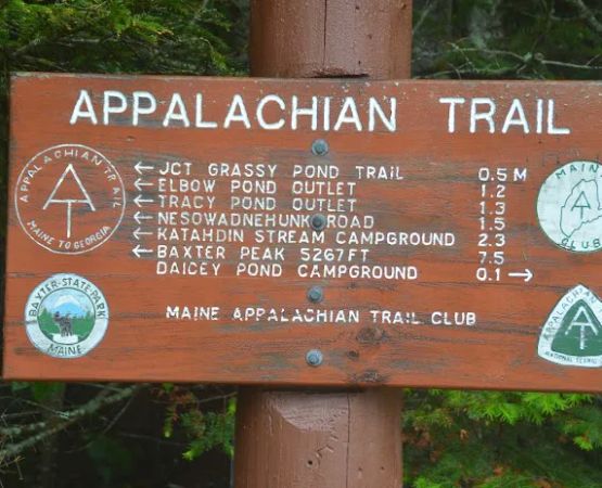 Daicey Pond Campground