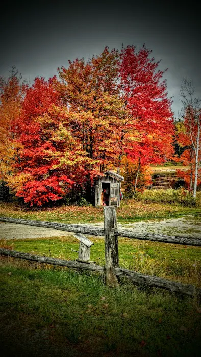 Long Pond Camp & Guide Services 6
