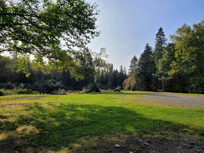 North Branch Machias Campsite 0