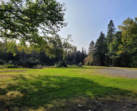 North Branch Machias Campsite
