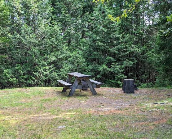Pillsbury Deadwater Campsite