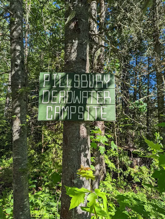 Pillsbury Deadwater Campsite 4