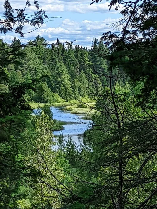 Pillsbury Deadwater Campsite 3