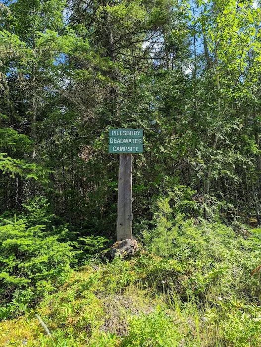 Pillsbury Deadwater Campsite 2