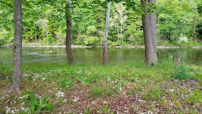 Branch Campground 5