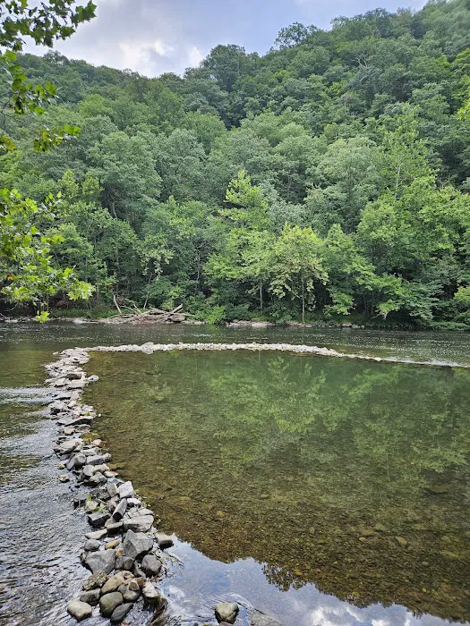 Branch Campground 6