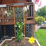 Honey Bear Campground