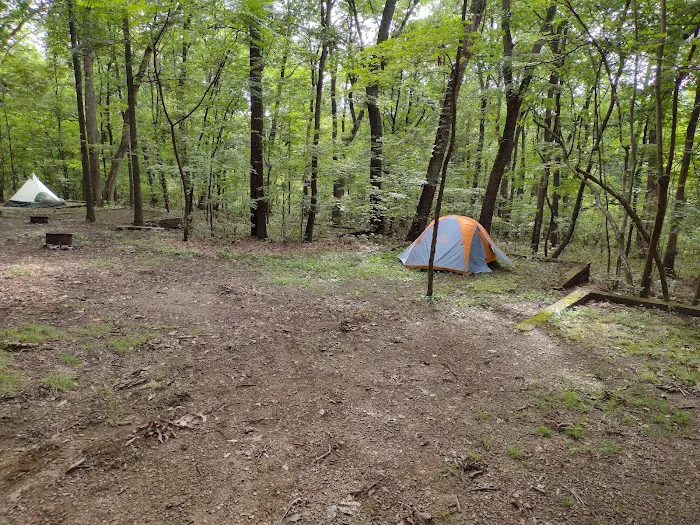 Honey Bear Campground 3