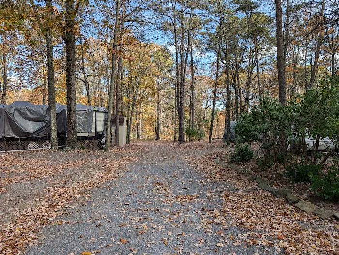 Honey Bear Campground 7