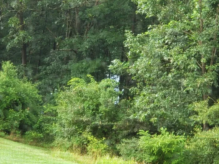 Lake View Trails, Inc. 0