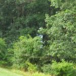 Lake View Trails, Inc.