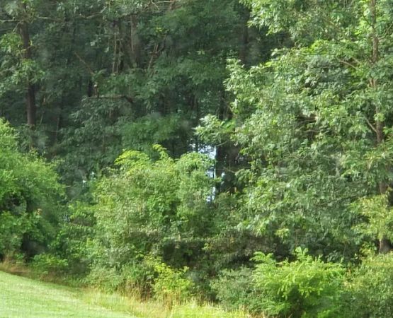 Lake View Trails, Inc.