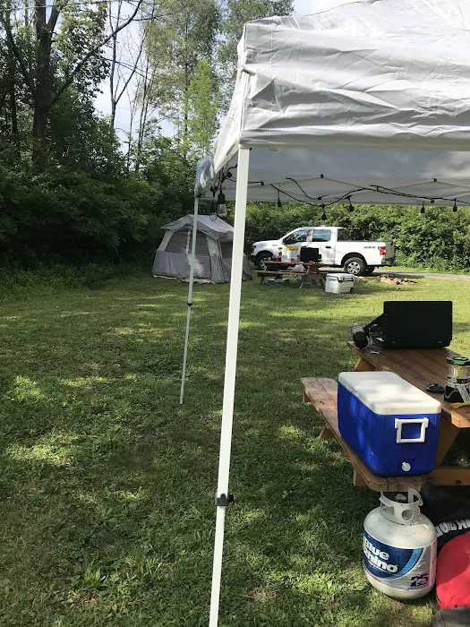 Bald Eagle Campsite 6