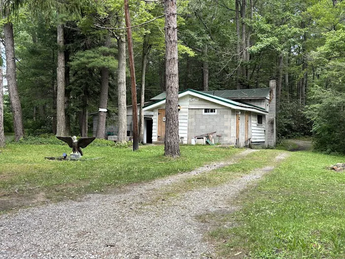 Bald Eagle Campsite 3