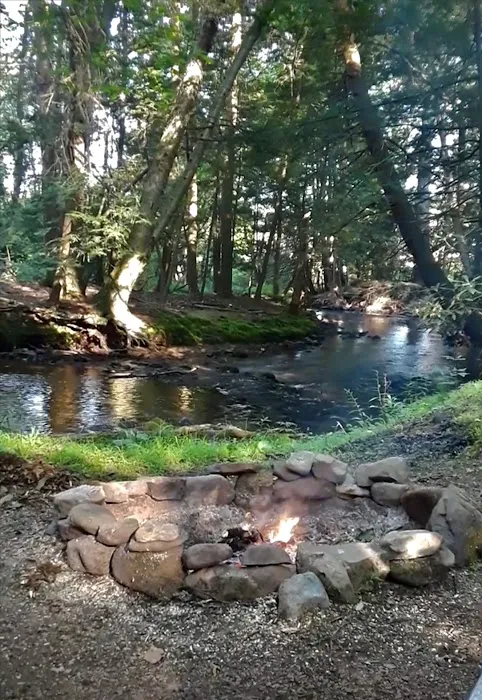 Bald Eagle Campsite 2