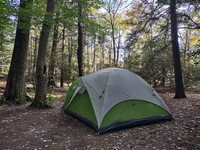 Bald Eagle Campsite 9
