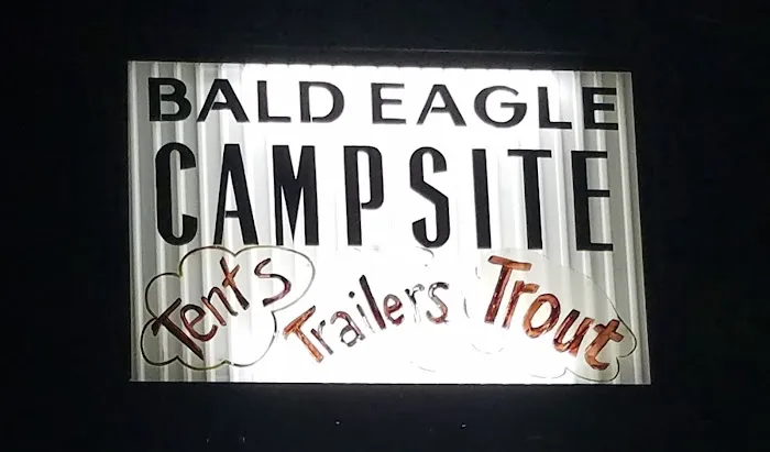 Bald Eagle Campsite 1
