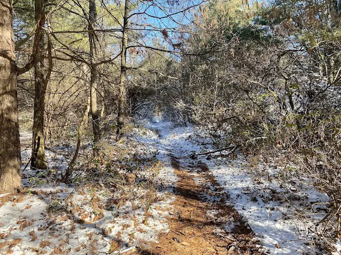 Hemlock Acres Campground 8