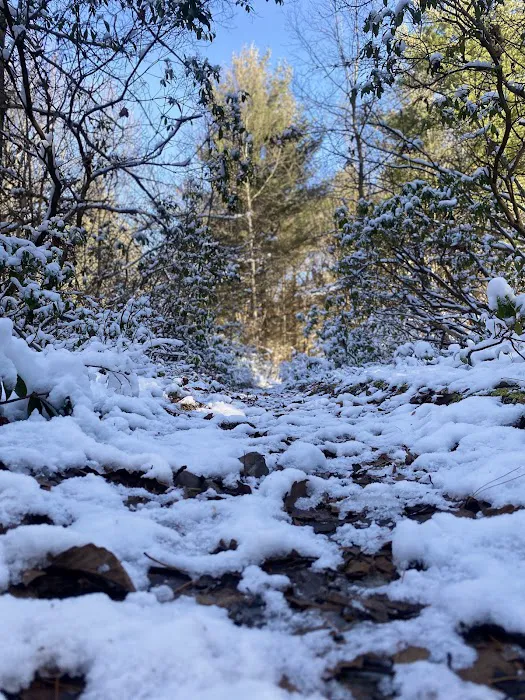 Hemlock Acres Campground 6