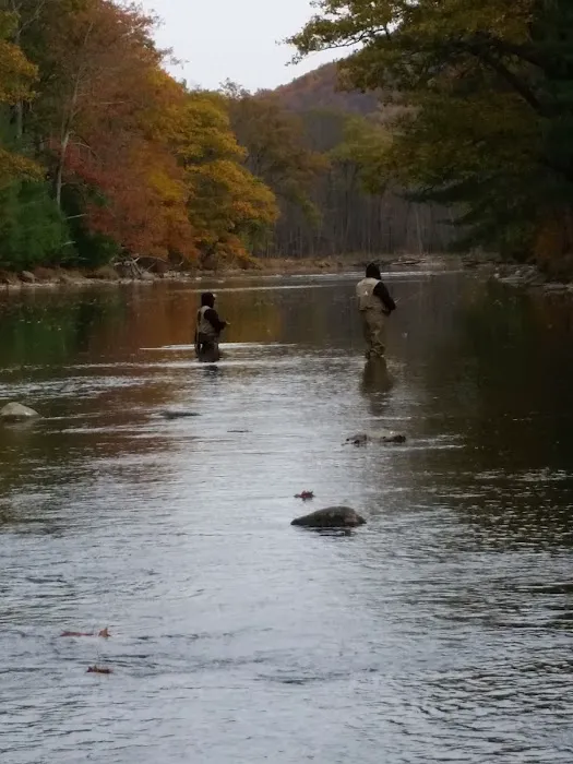 Hemlock Acres Campground 1