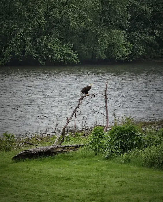 River Rock Camping & RV Park LLC. 3