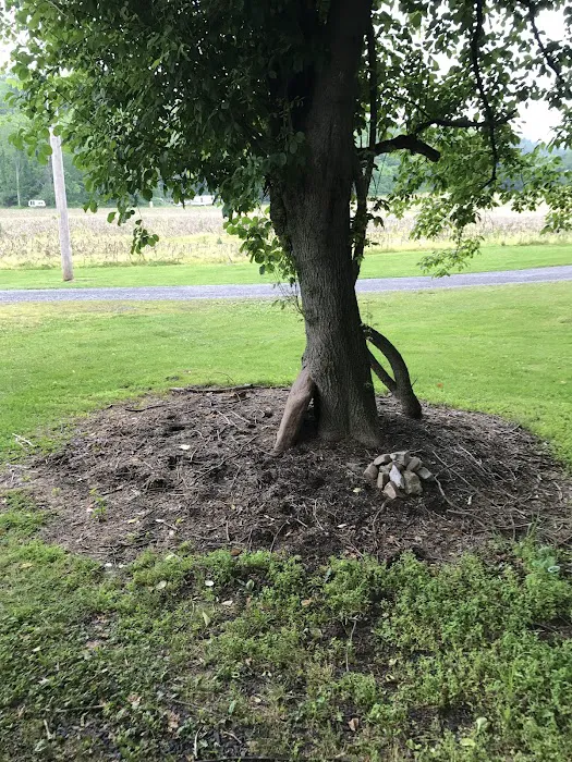 Harshbarger's Campground 3