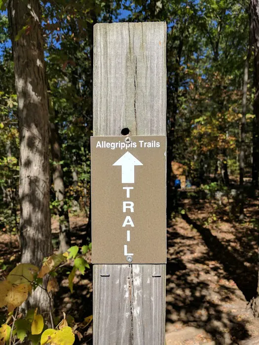 Susquehannock Campground - U.S. Army Corp of Engineers 5
