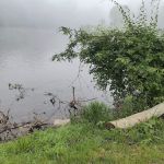 Peachey's Campground