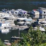 Seven Points Campground- Bay Camp Loop