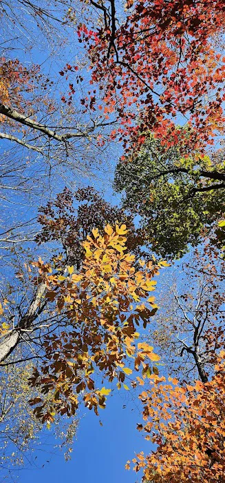 Seven Points Campground 4