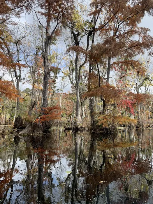 Merchants Millpond Family Campground 9