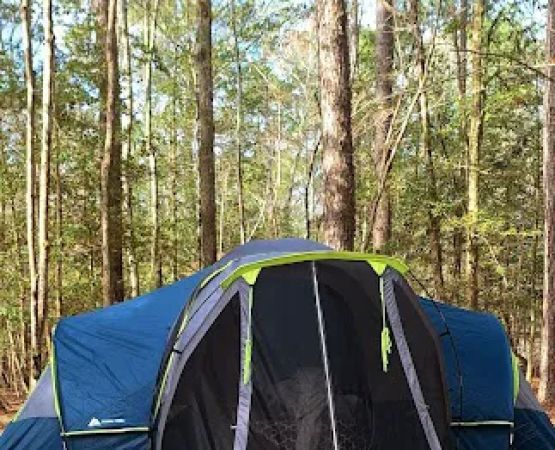 Merchants Millpond Family Campground