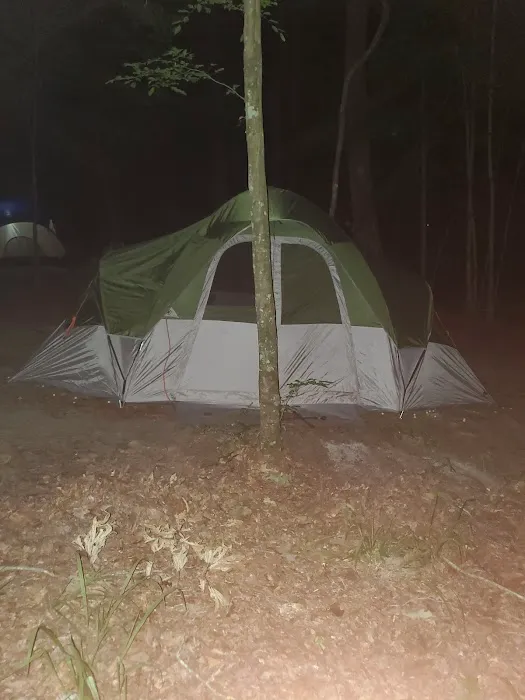 Merchants Millpond State Park - Walk-in Group Campsites 0
