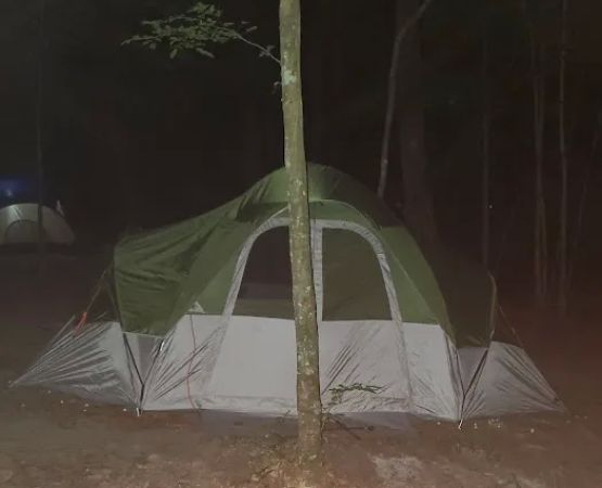 Merchants Millpond State Park - Walk-in Group Campsites