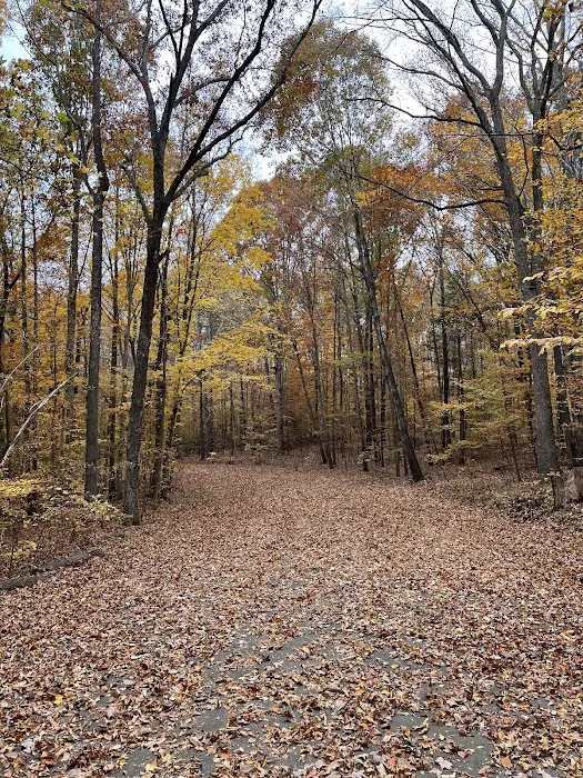 Kerr Lake Area 3 3